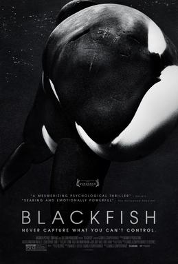 Blackfish Blackfish